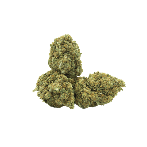 Gelato